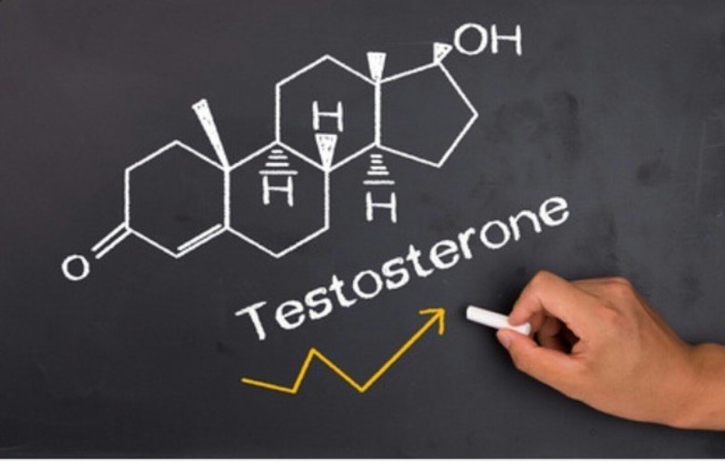 Эти методы позволят мужчинам быстро нарастить запас тестостерона в организме